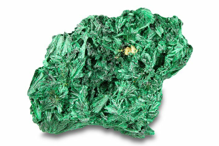 Fibrous Malachite Crystal Cluster - DR Congo #294628